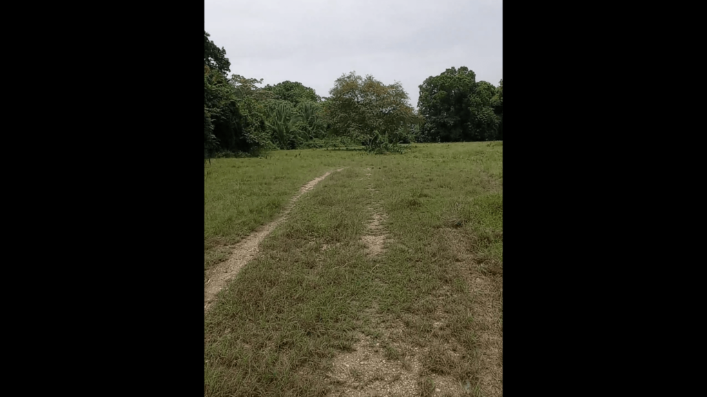 13-min