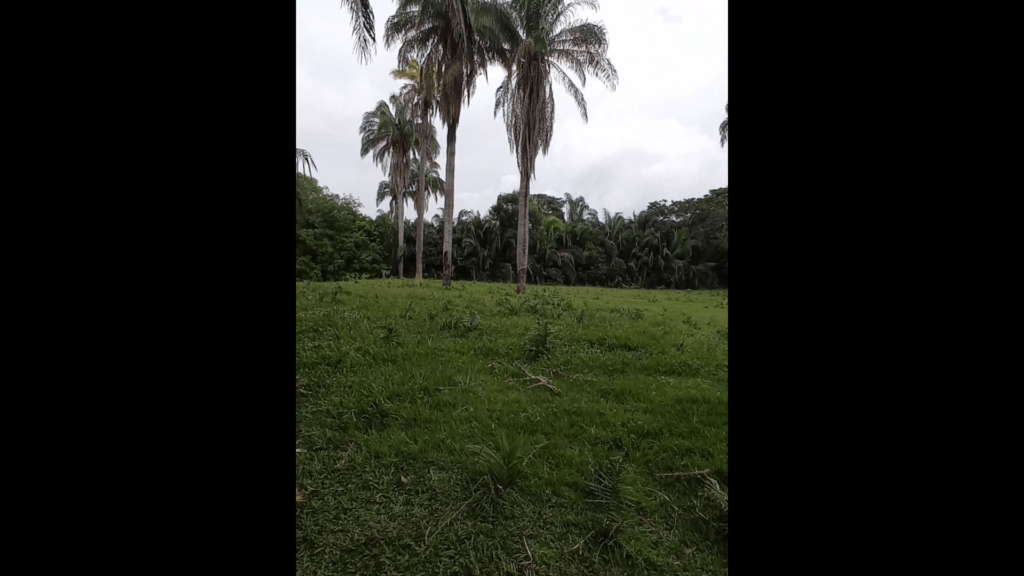 15-min
