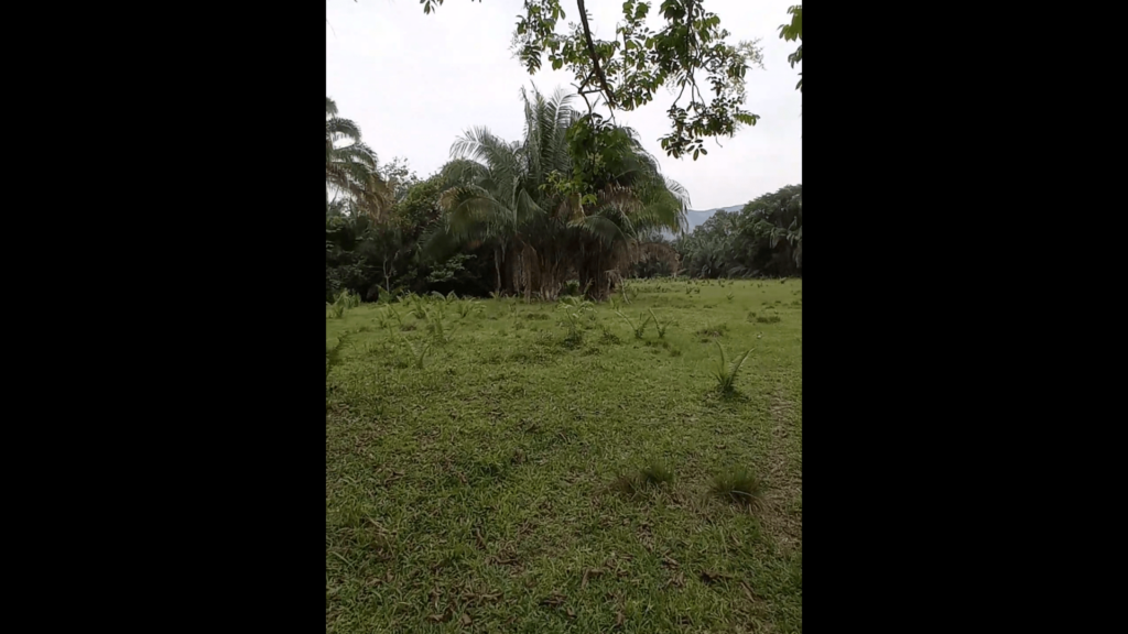 17-min